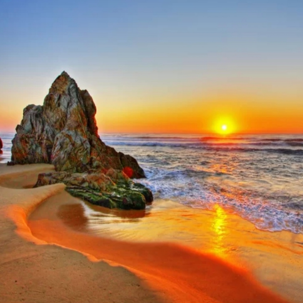 Meet your Posher, Aria M.